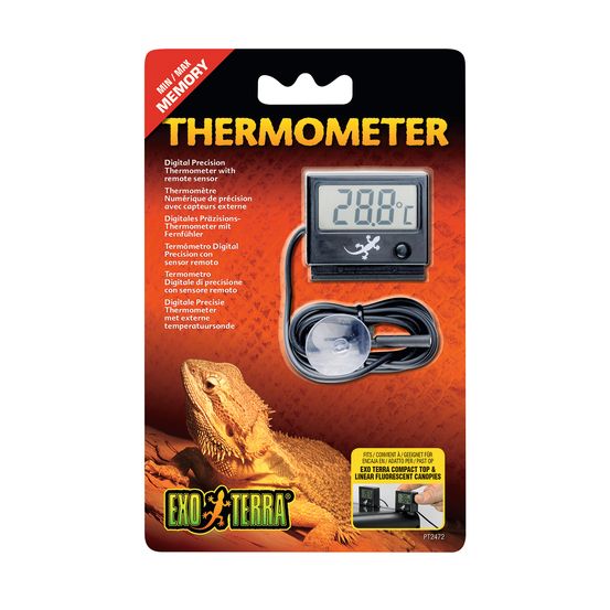 Led thermomètre numérique