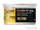Alimentation crickets xl  reptiles et amphibiens 34 g