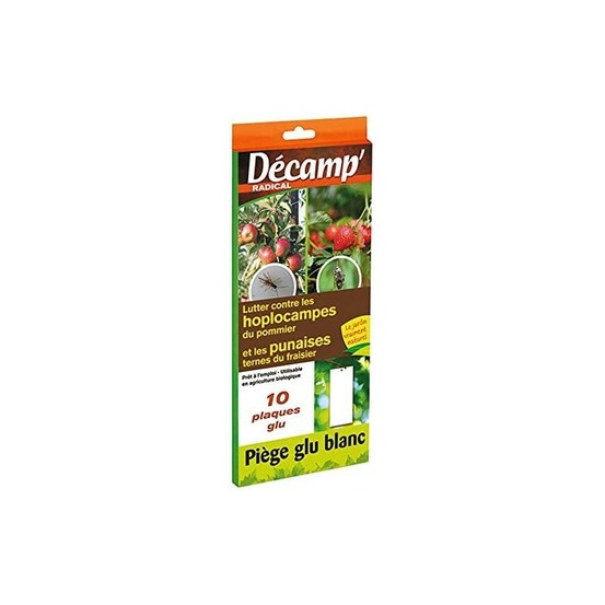 Décamp - piege blanc hoplocampe du pommer+punaises