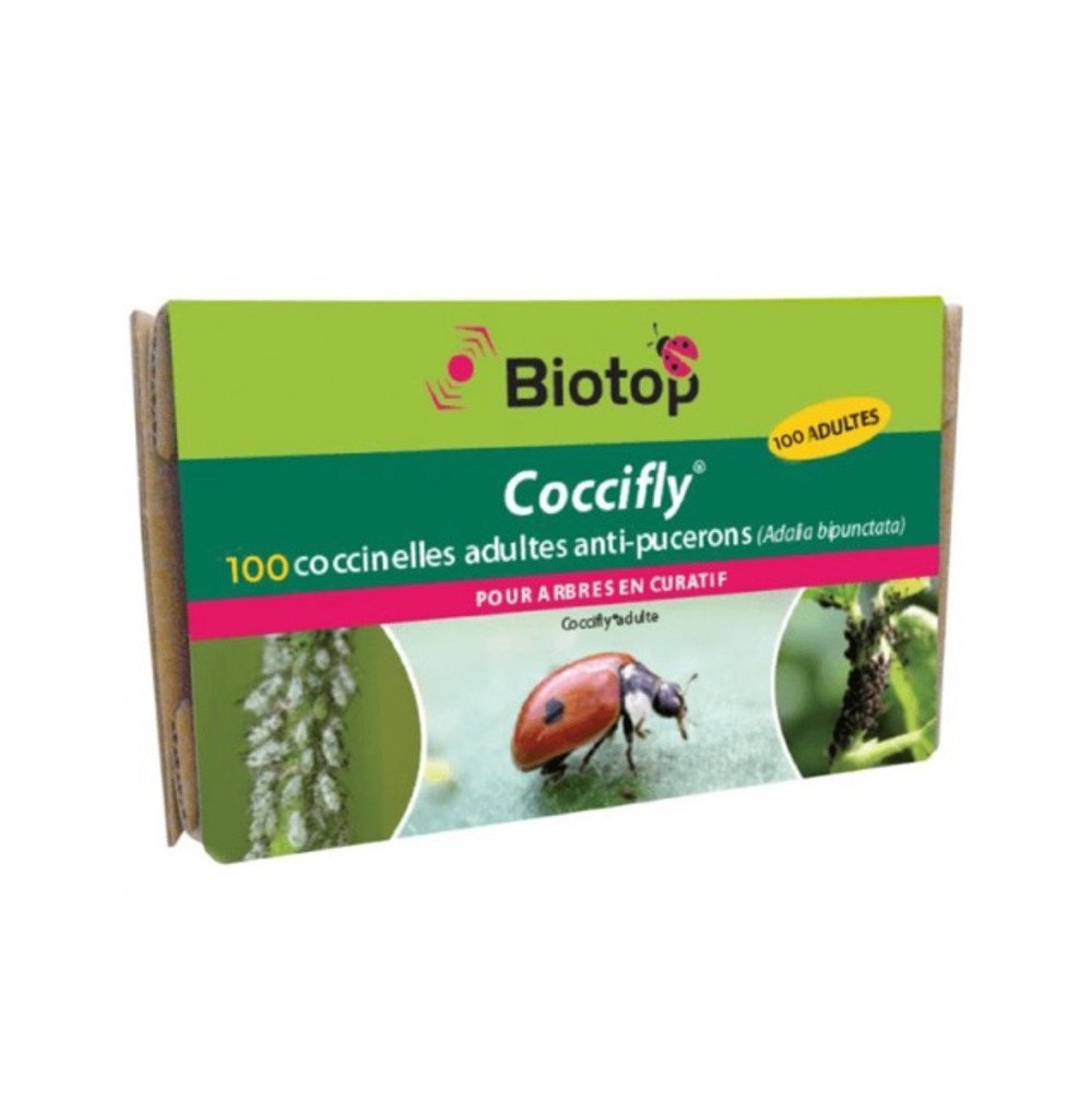 100 coccinelles adultes anti pucerons coccifly Truffaut