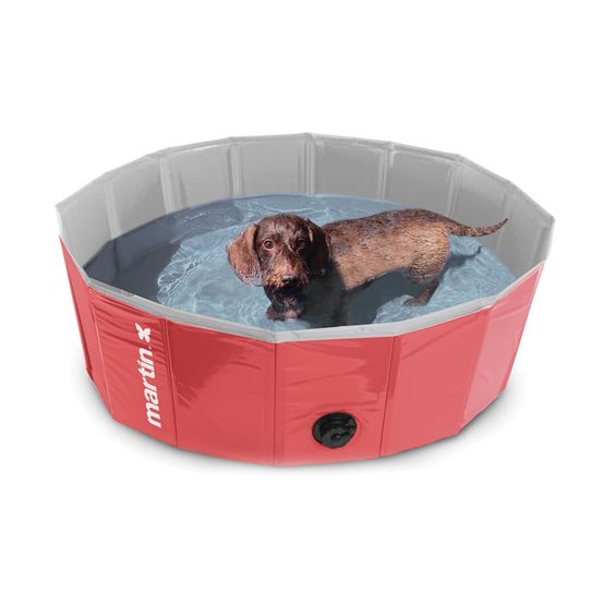 Piscine pour chiens martin pool : une oasis de fraîcheur