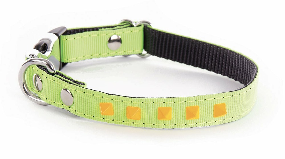 Collier pour chiens et chats alter ego avec pyramides fluo
