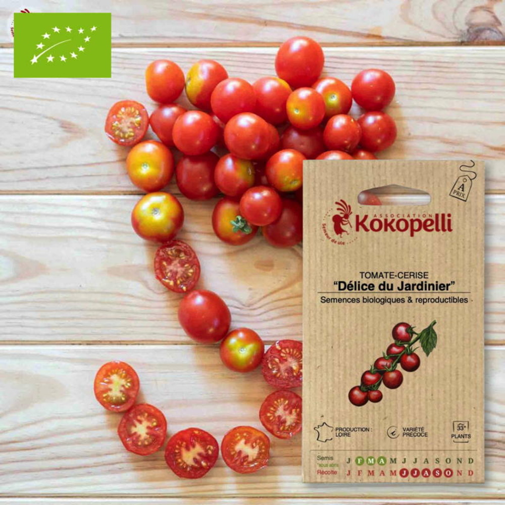 Graines bio à semer - tomate-cerise délice du jardinier