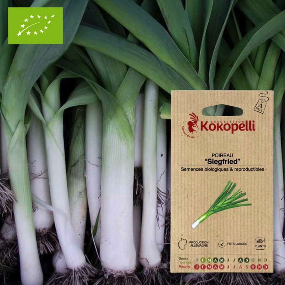 Graines bio à semer - poireau siegfried