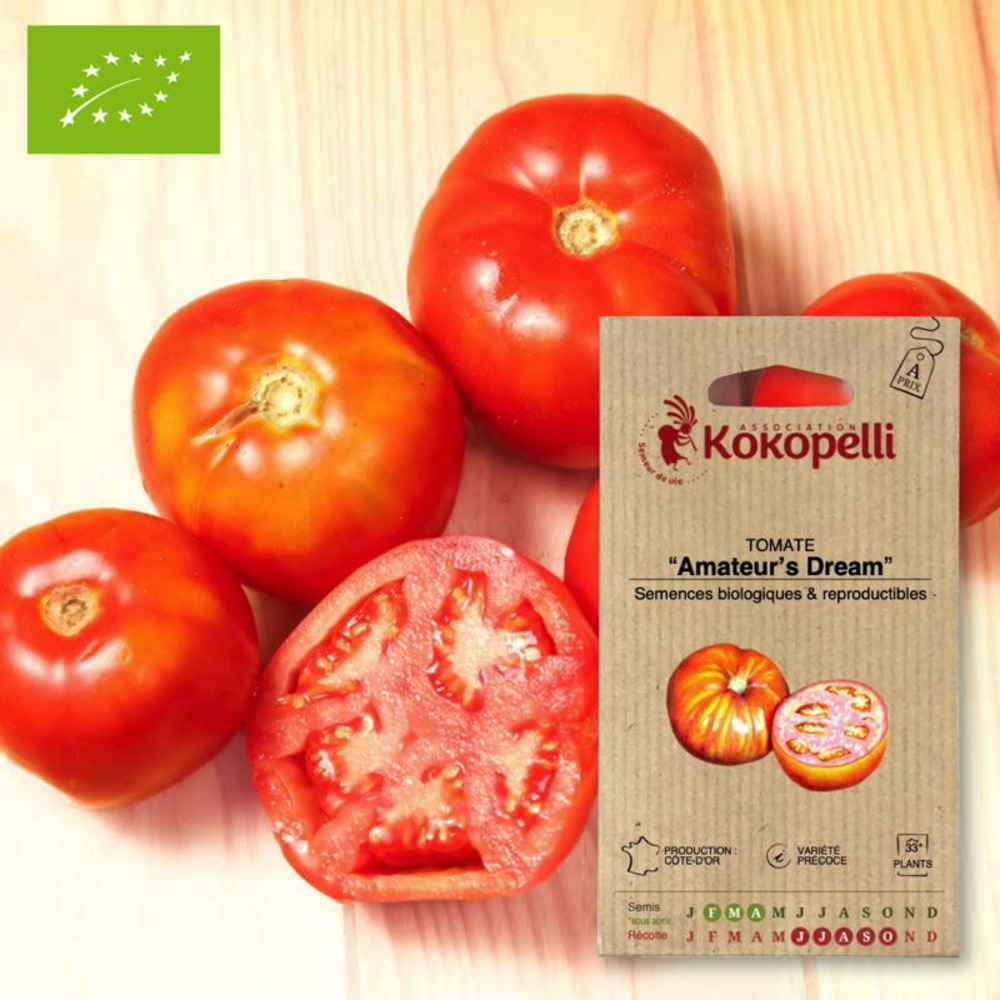 Graines bio à semer - tomate amateur's dream
