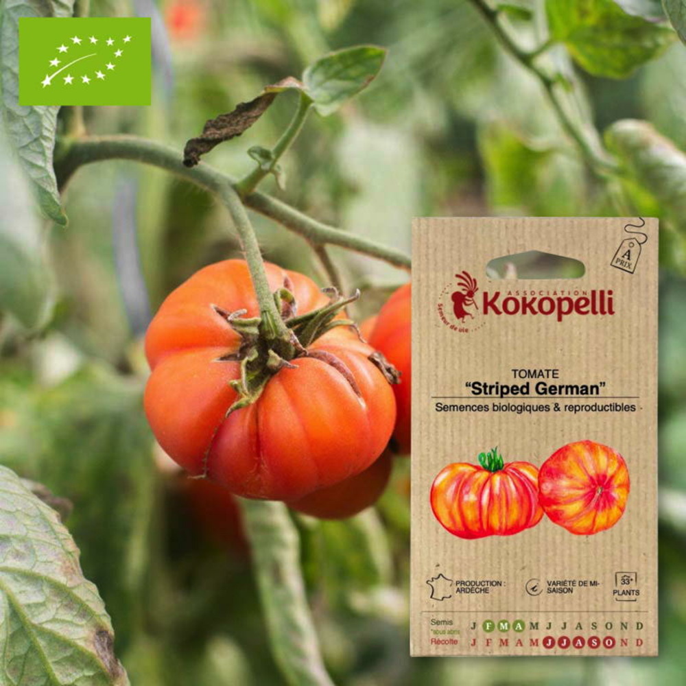 Graines bio à semer - tomate striped german