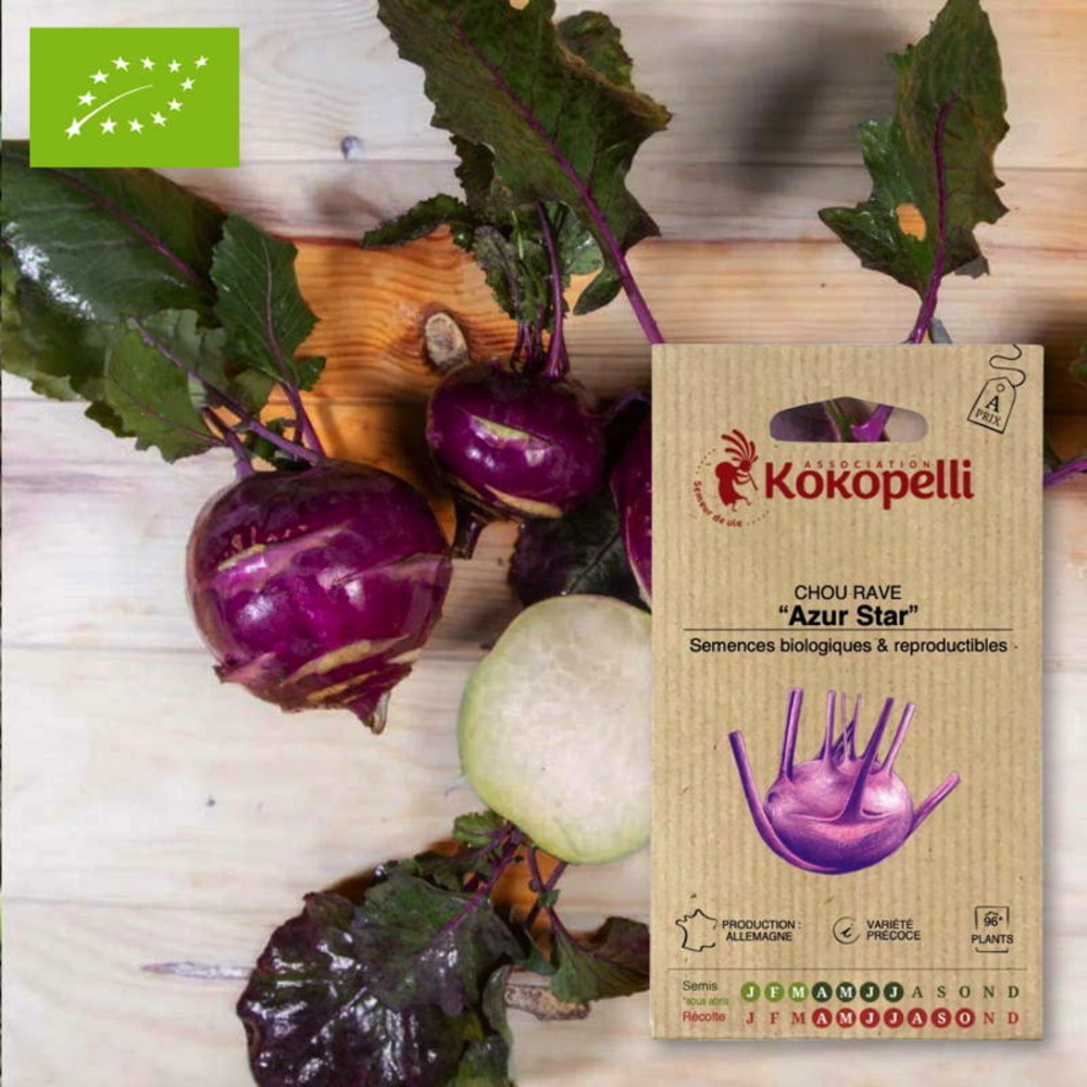 Graines bio à semer - chou rave azur star