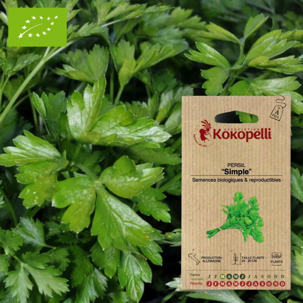 Graines bio à semer - persil simple
