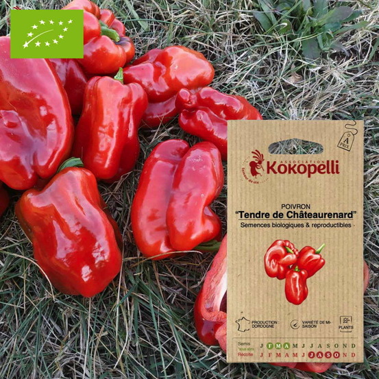 Graines bio à semer - poivron tendre de châteaurenard