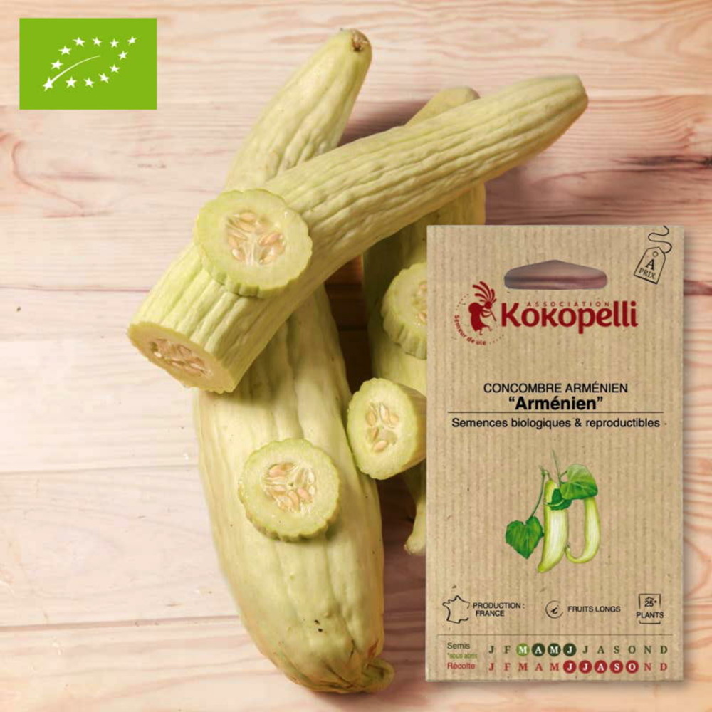 Graines bio à semer - concombre arménien concombre serpent