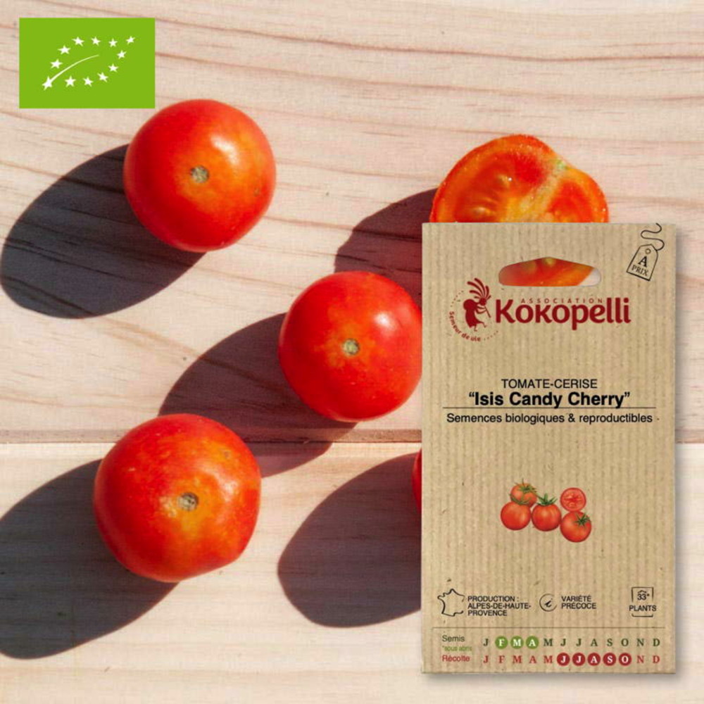 Graines bio à semer - tomate-cerise isis candy cherry