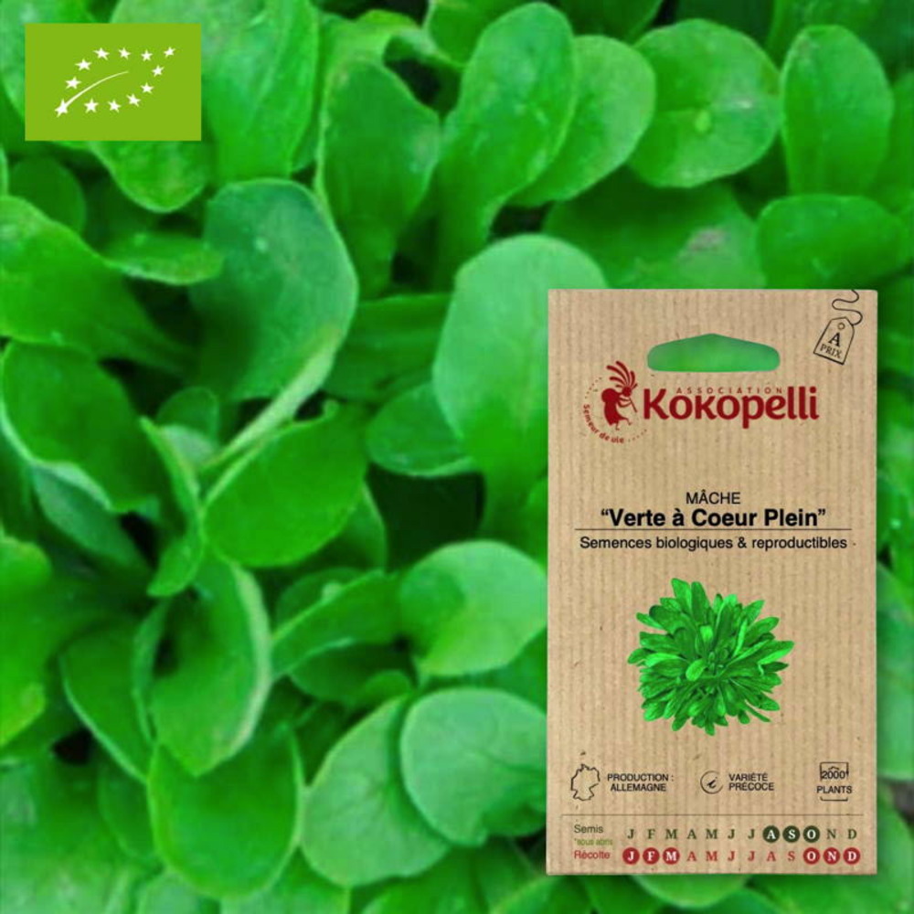 Graines bio à semer - mâche verte à coeur plein
