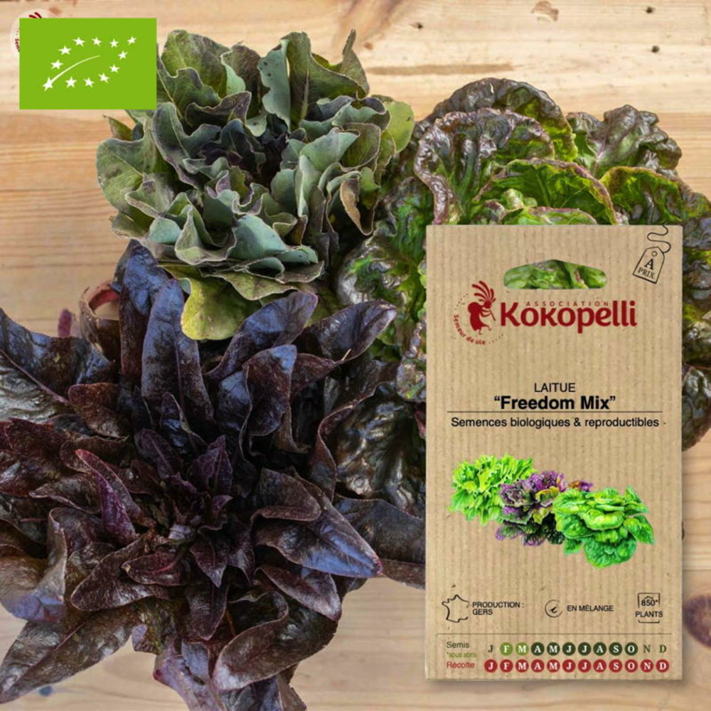Graines bio à semer - laitue freedom mix