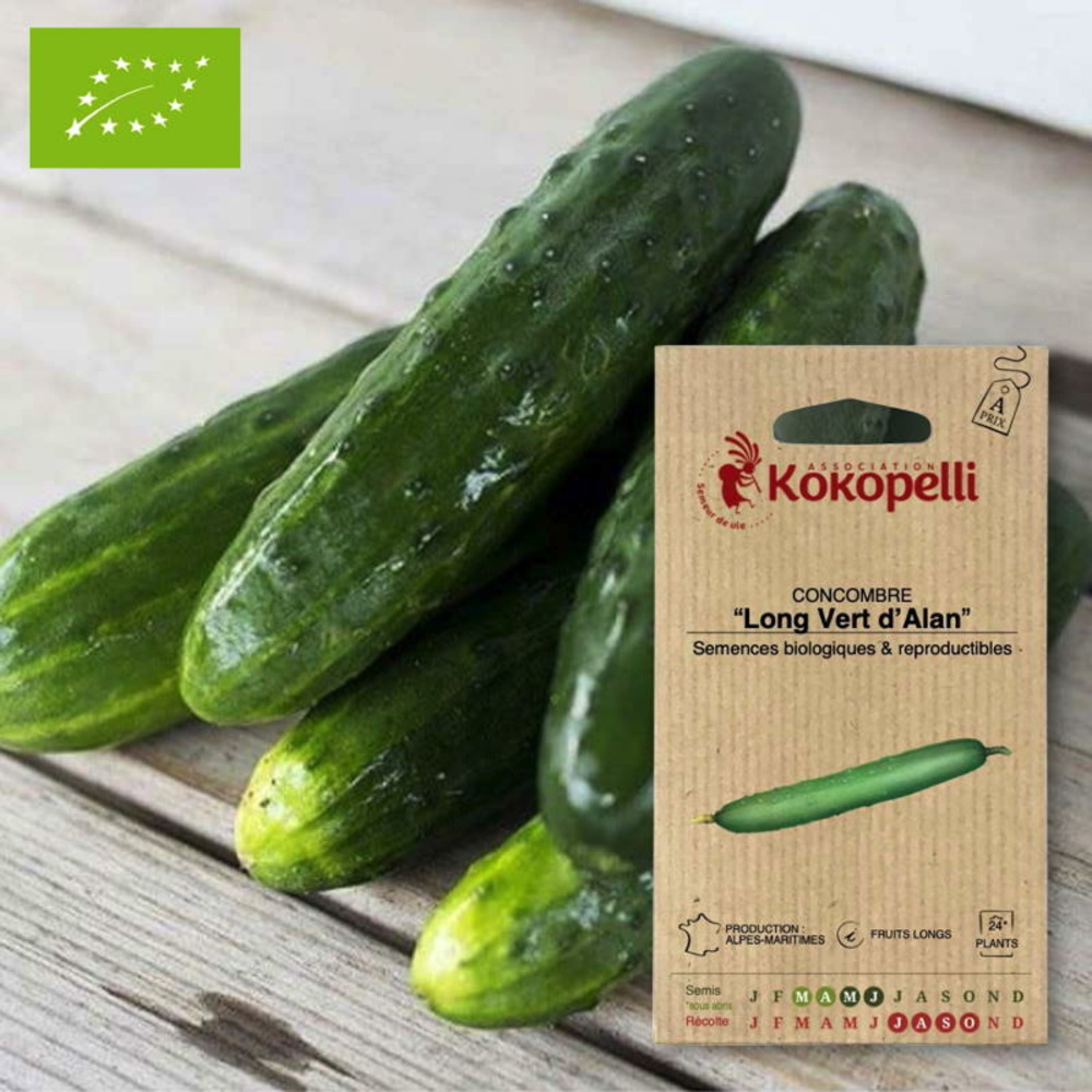 Graines bio à semer - concombre long vert d'alan