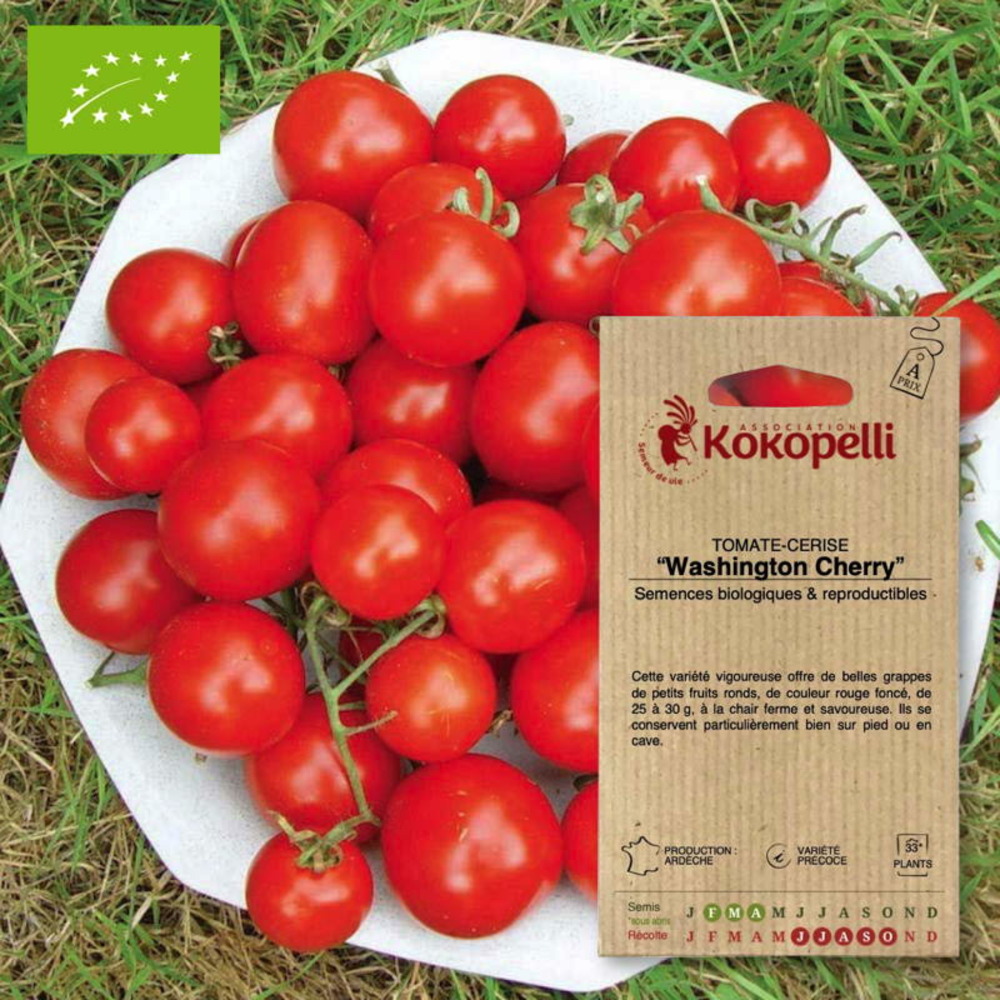 Graines bio à semer - tomate-cerise washington cherry