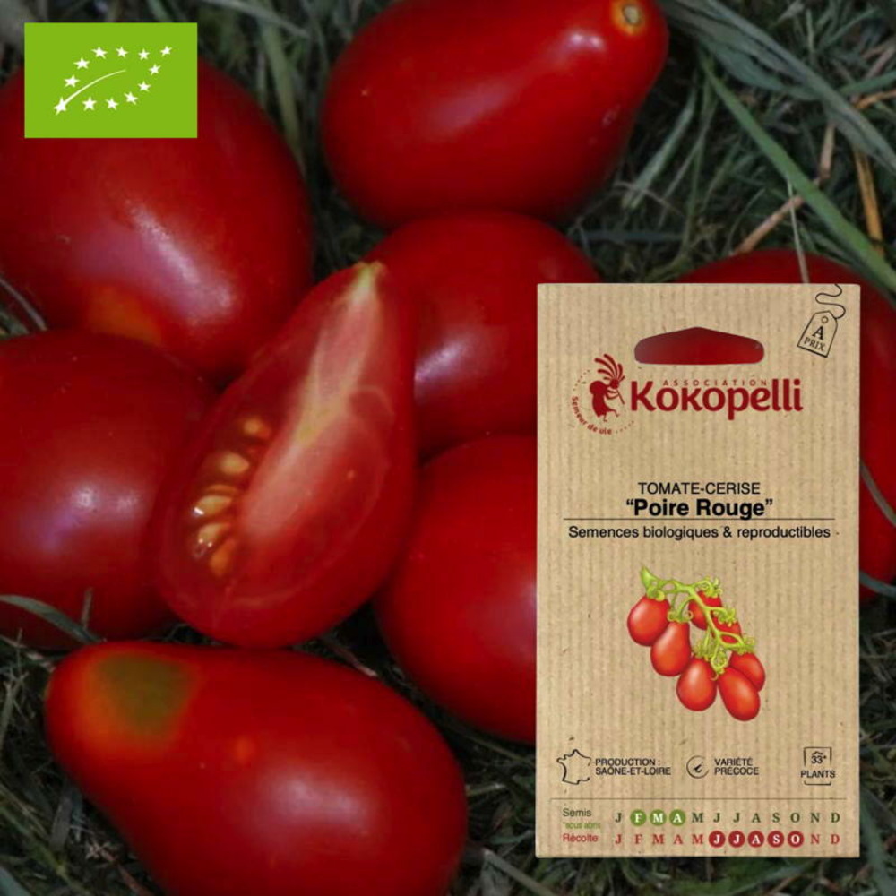 Graines bio à semer - tomate-cerise poire rouge