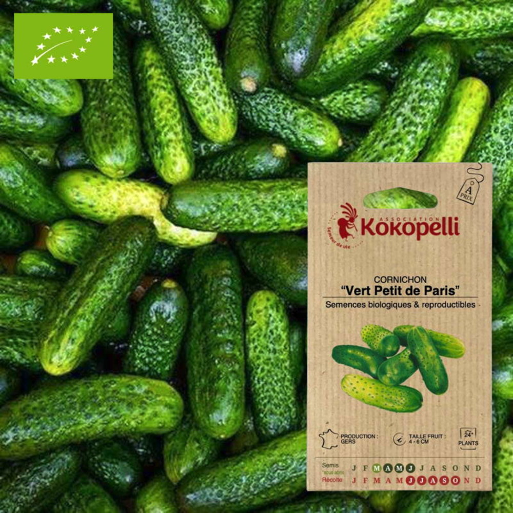 Graines bio à semer - cornichon vert petit de paris