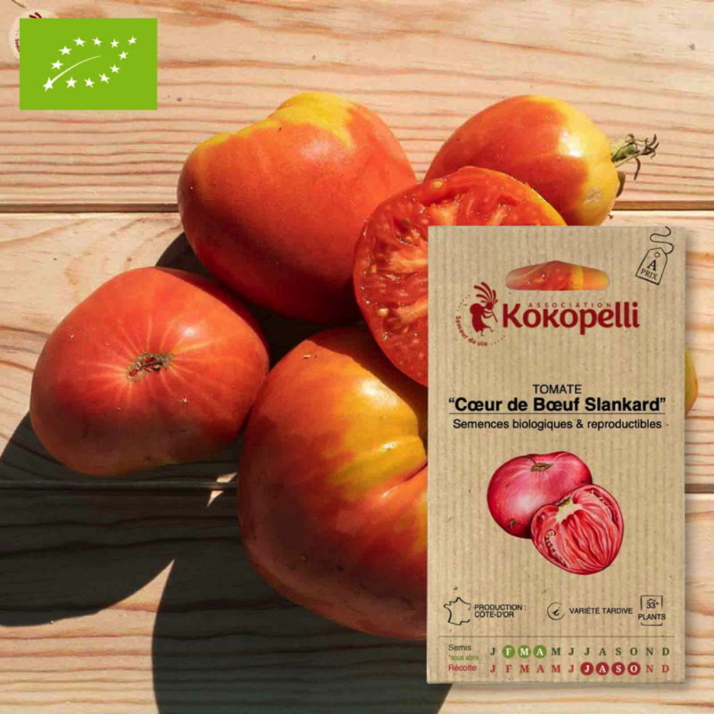 Graines bio à semer - tomate cœur de bœuf slankard