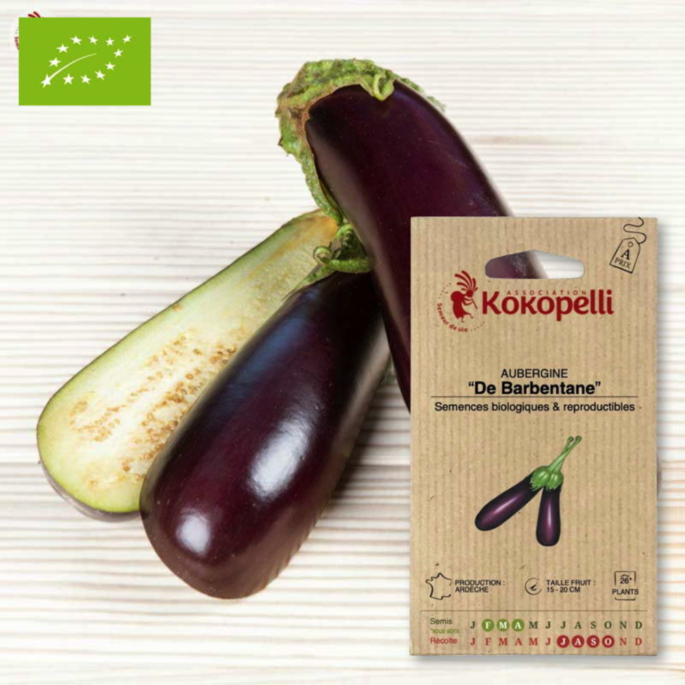 Graines bio à semer - aubergine de barbentane
