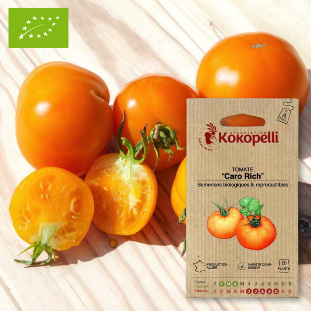Graines bio à semer - tomate caro rich