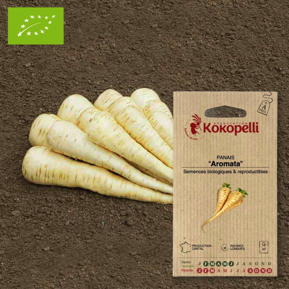 Graines bio à semer - panais aromata