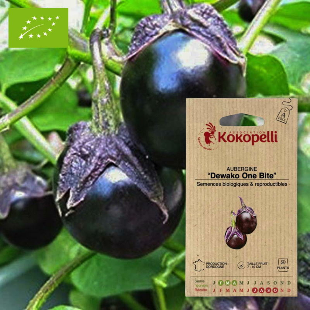 Graines bio à semer - aubergine dewako one bite