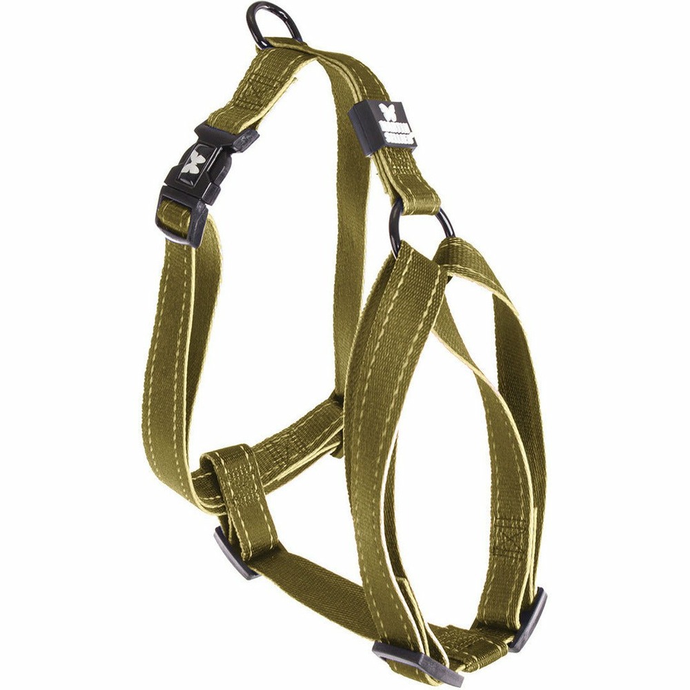 Harnais pour chien : pour les propriétaires de chiens soucieux de la sécurité