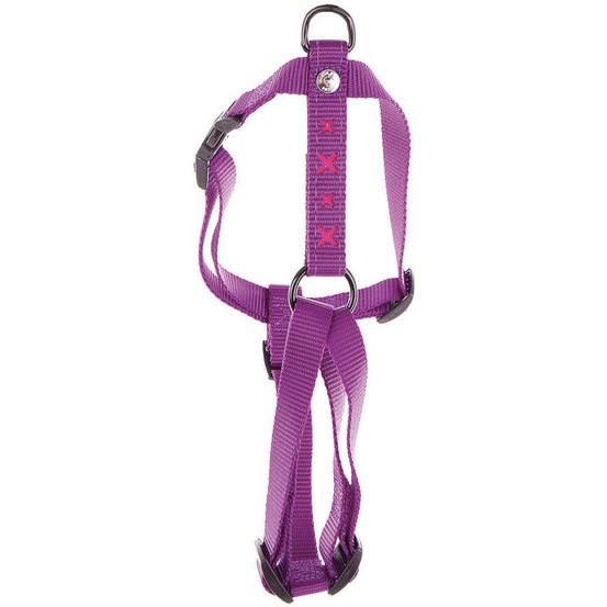 Harnais pour chien en nylon : esthétique et fonctionnel