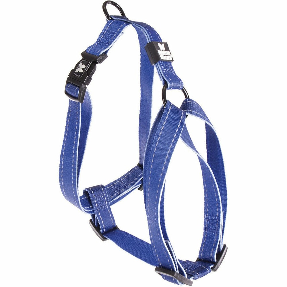 Harnais pour chien : pour les propriétaires de chiens soucieux de la sécurité