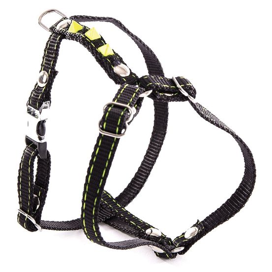 Harnais pour chien avec pyramides de couleur