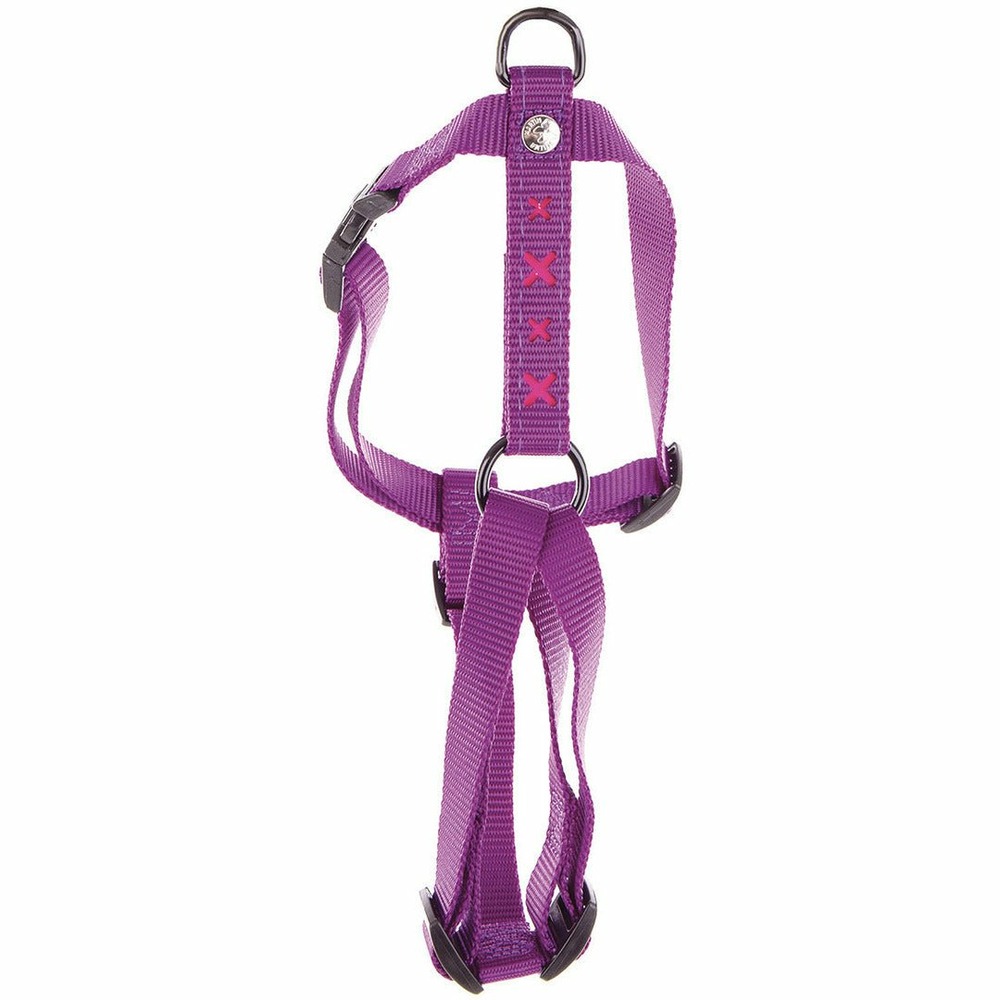 Harnais pour chien en nylon : esthétique et fonctionnel