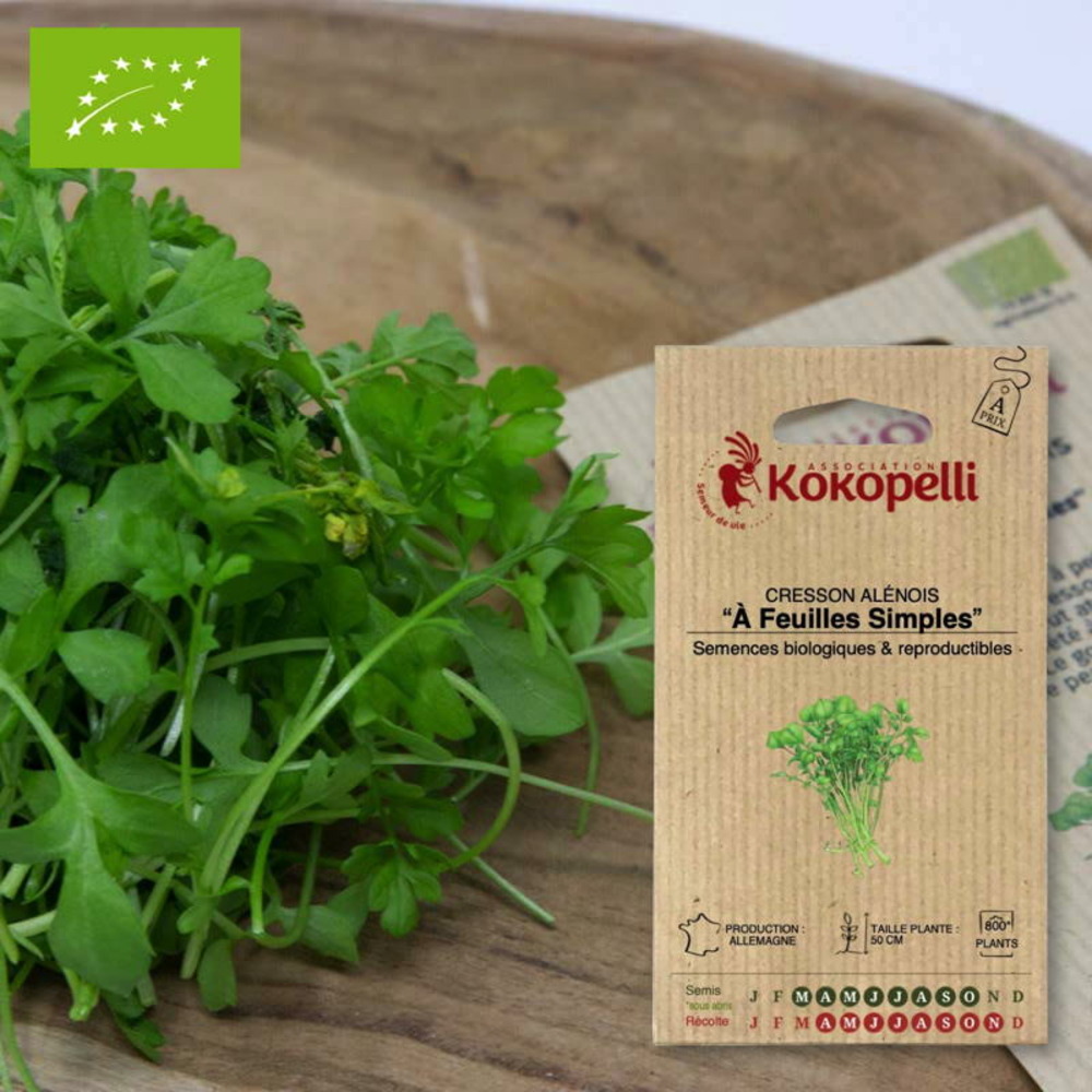 Graines bio à semer - cresson alénois à feuilles simples