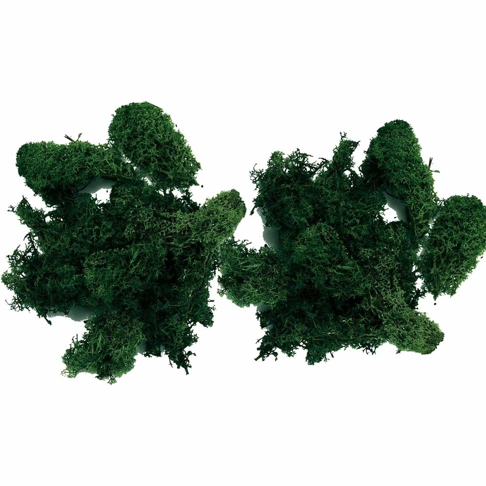 HelloMoss Tableau En Mousse Avec Cadre 120 X 60 Cm - Tableau