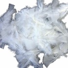 90 plumes de coq blanches 10 cm