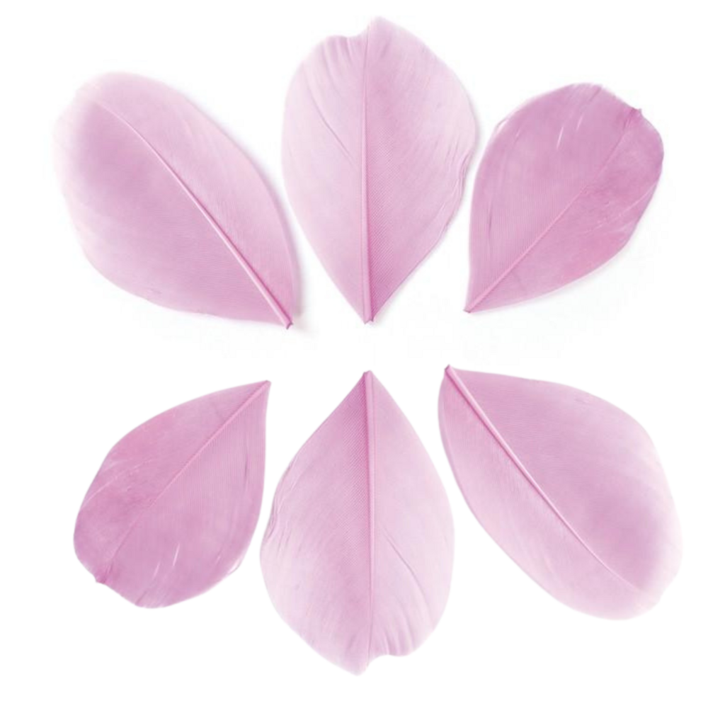 100 plumes coupées - rose pâle 6 cm