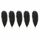 5 plumes d'autruche noires