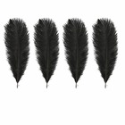 4 plumes d'autruche noires