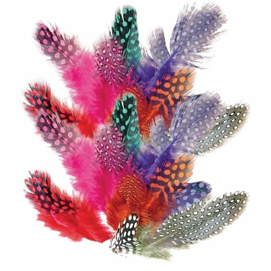 400 plumes colorées de pintade