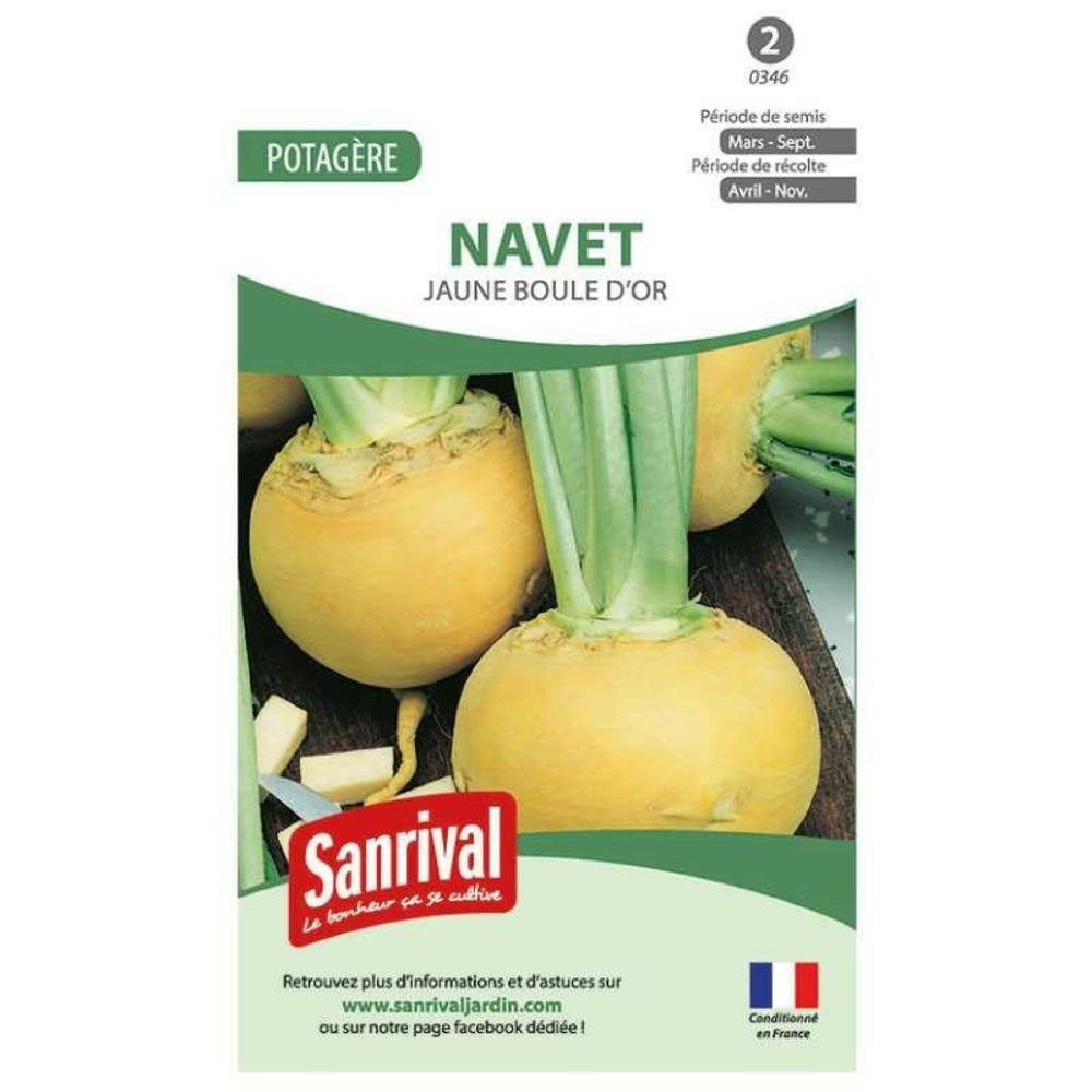 Graines navet jaune boule d'or