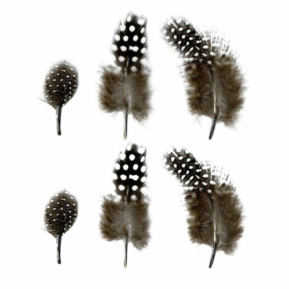 Plumes naturelles 2 à 6 cm - 6 g