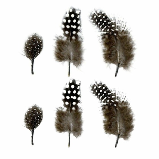 Plumes naturelles 2 à 6 cm - 6 g