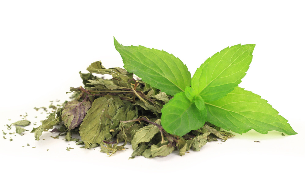 Sachet de graines de menthe poivrée - sachet de 0,2 grammes - petite entreprise française - made in france