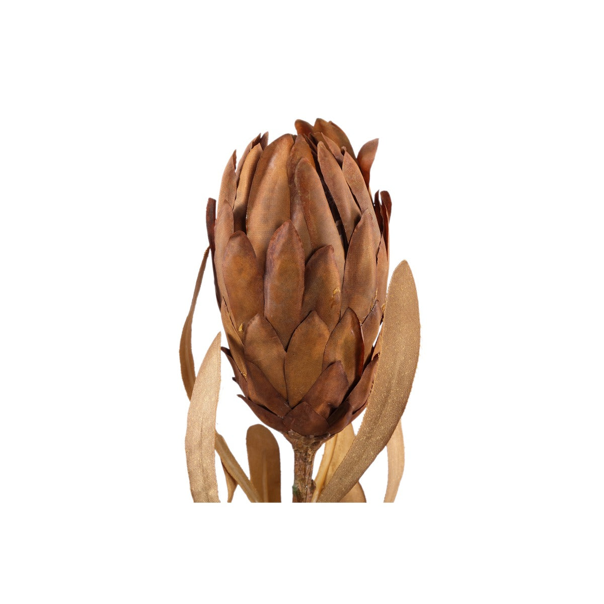 Ptmd plante artificielle queen - 25x12x63 cm - plastique - marron