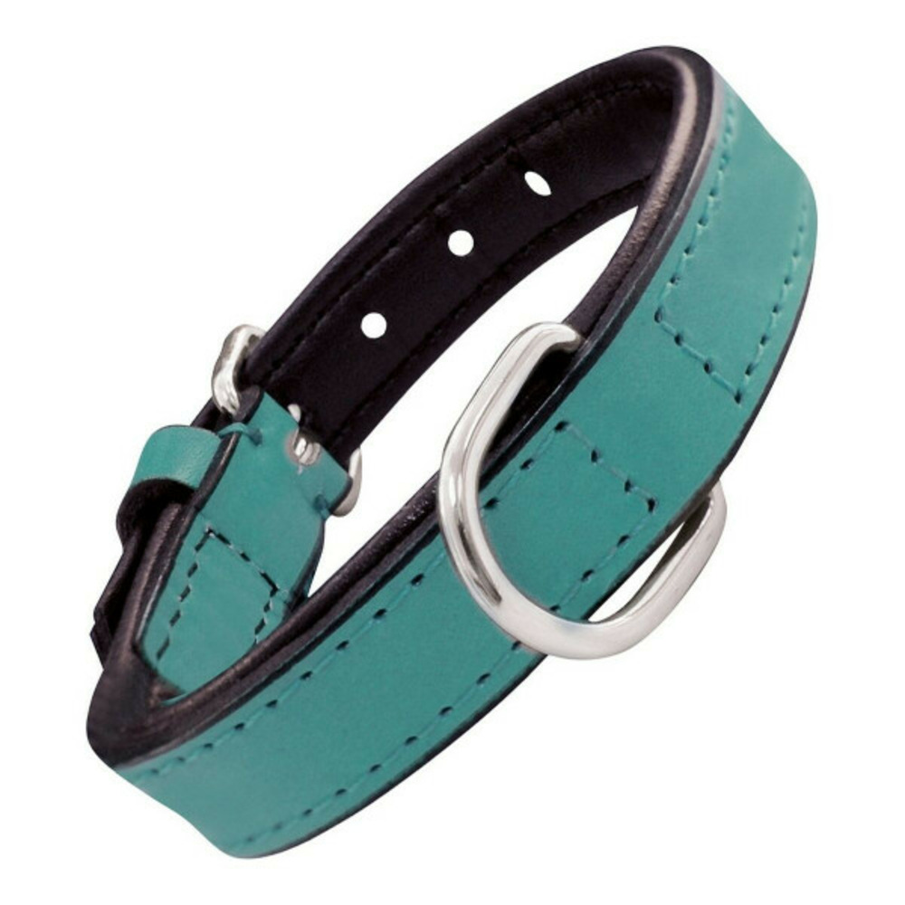 Collier pour chien rembourré turquoise (35 x 1,5 cm)