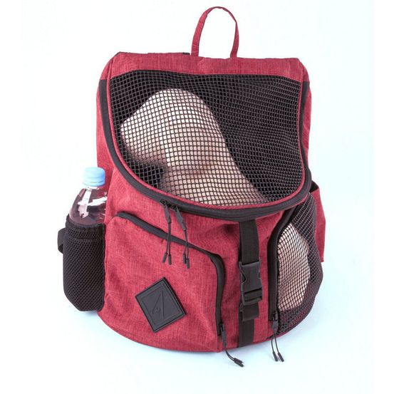 Sac à dos pour chiens et chats image - plusieurs coloris disponibles