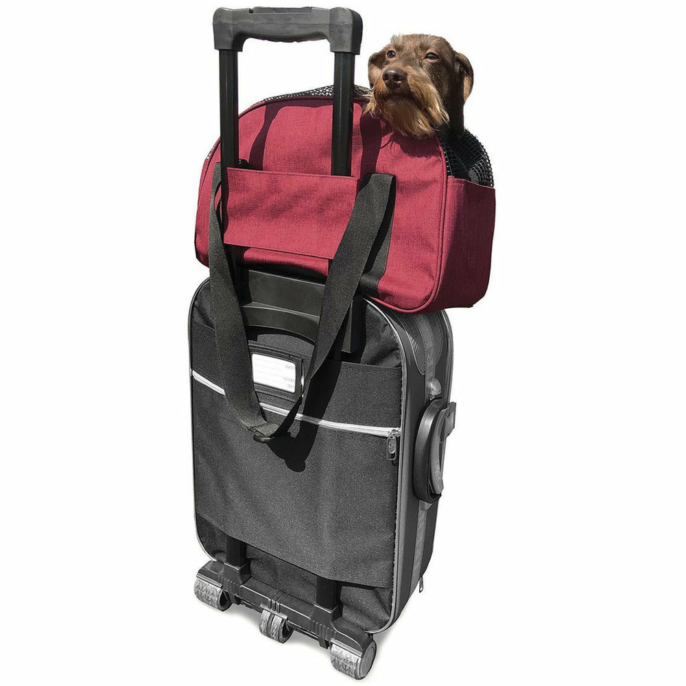 Sac de voyage avion pour chiens et chats sac bowling