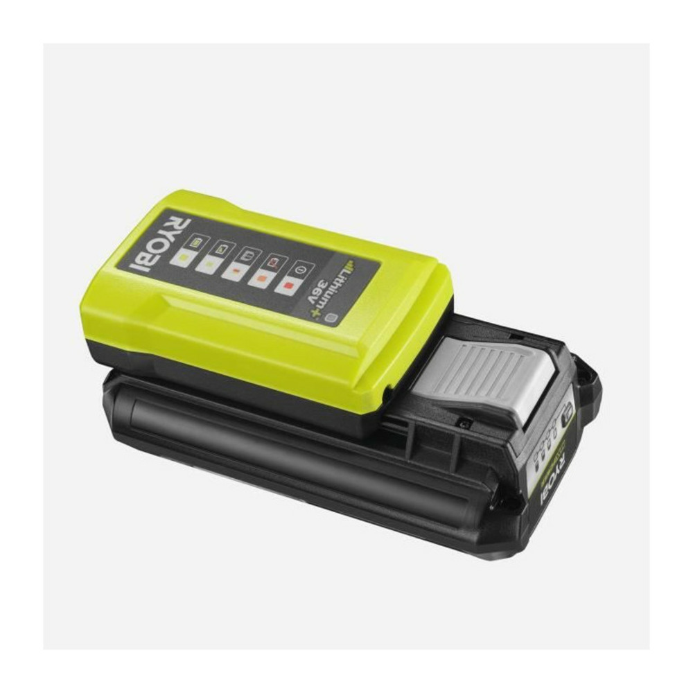 1 batterie lithium+ 36v - 2,0 ah et 1 chargeur standard 1,7 a maxpower