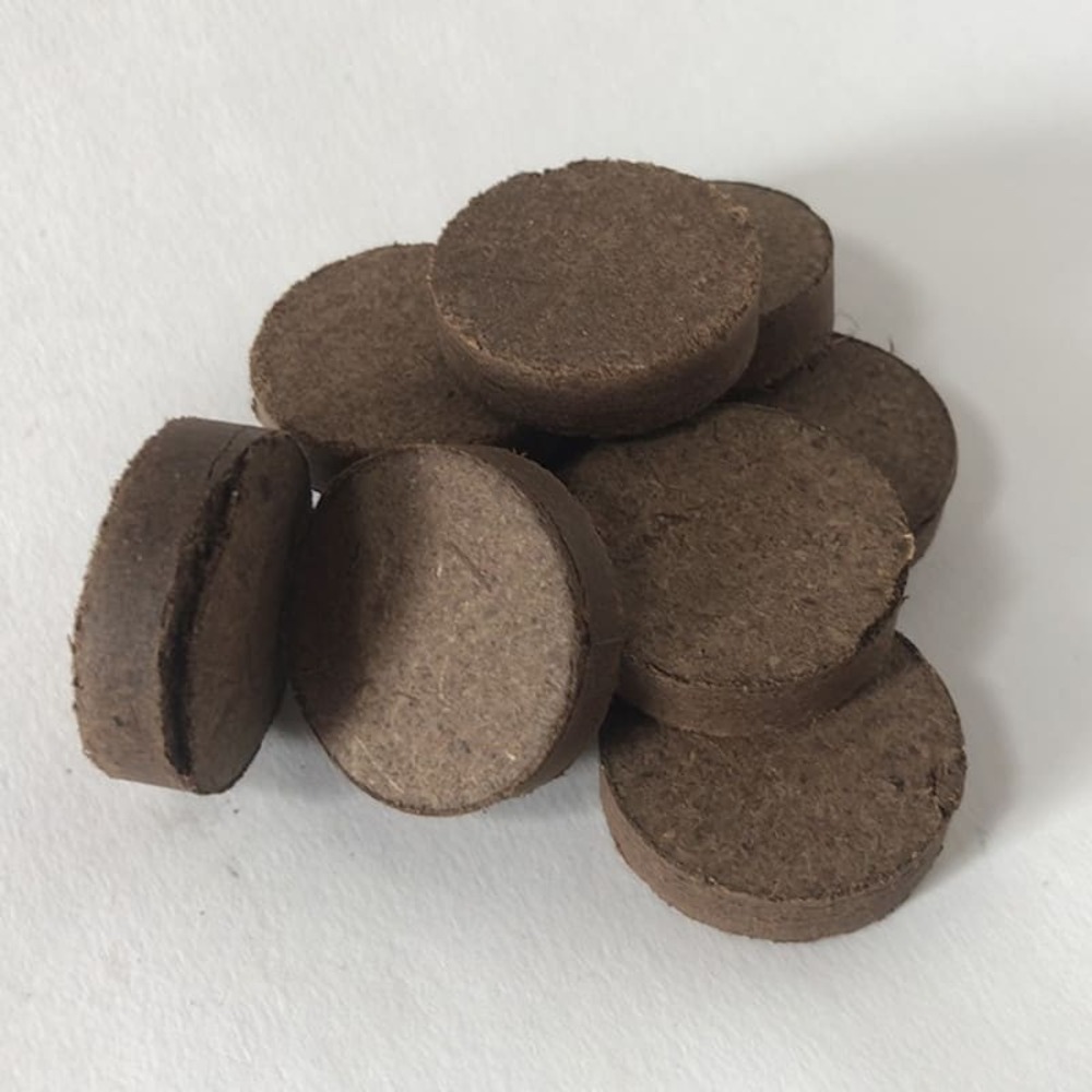 Lot de 10 pastilles de tourbe 3,3 cm x 0,8 cm