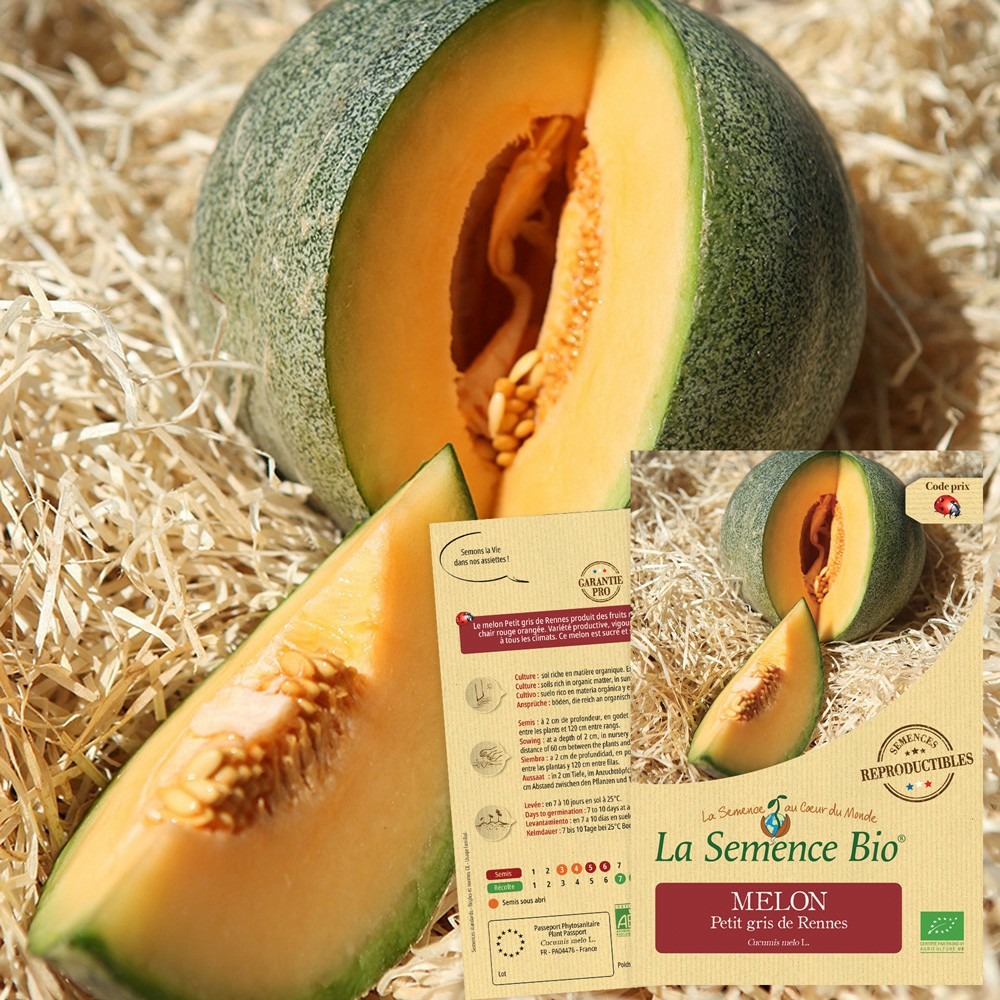 Melon petit gris de rennes bio Truffaut — free download