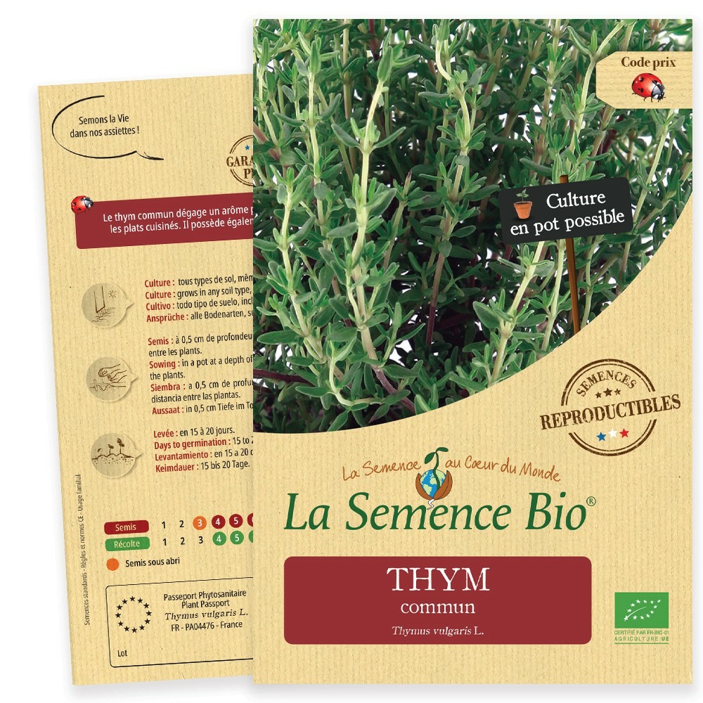 Thym ordinaire - graines bio